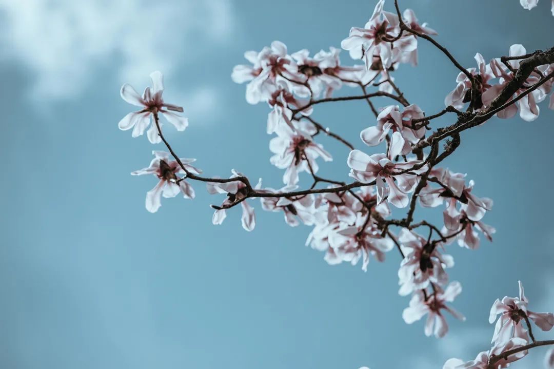 中秋节给老师的祝福语短句，送给老师的中秋节问候说说